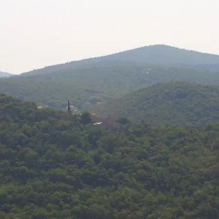 Kuca Orhidea